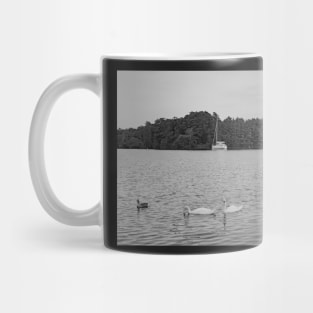 Wroxham Broad in the Norfolk Broads National Park Mug